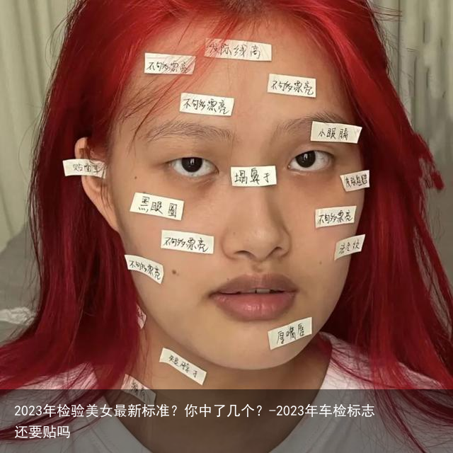 2023年检验美女最新标准？你中了几个？-2023年车检标志还要贴吗