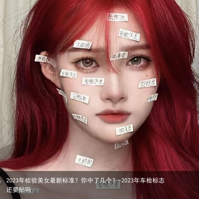 2023年检验美女最新标准？你中了几个？-2023年车检标志还要贴吗