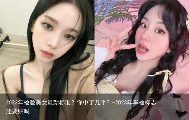 2023年检验美女最新标准？你中了几个？-2023年车检标志还要贴吗