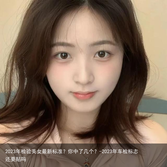 2023年检验美女最新标准？你中了几个？-2023年车检标志还要贴吗