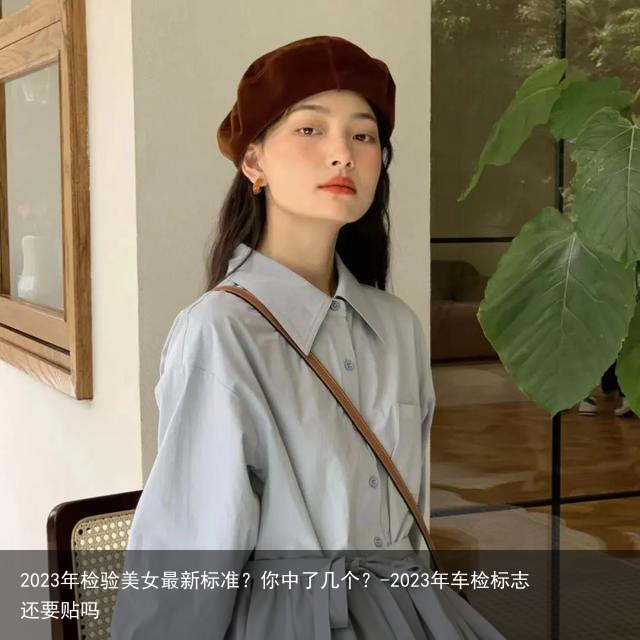 2023年检验美女最新标准？你中了几个？-2023年车检标志还要贴吗