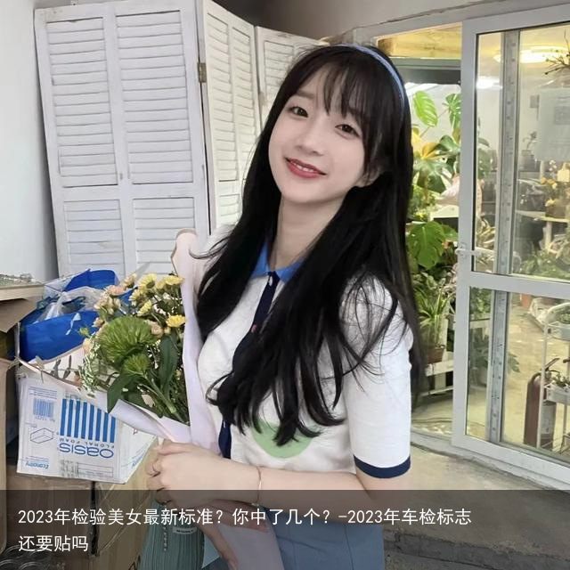 2023年检验美女最新标准？你中了几个？-2023年车检标志还要贴吗