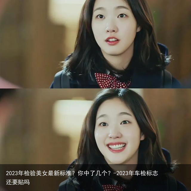 2023年检验美女最新标准？你中了几个？-2023年车检标志还要贴吗