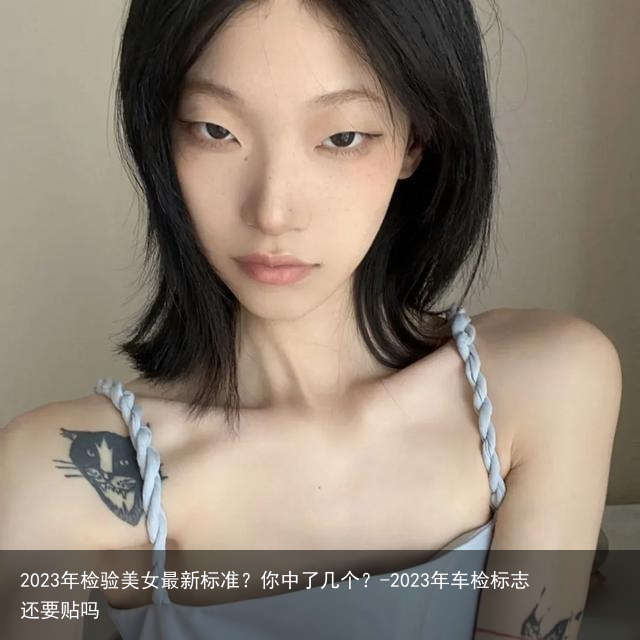 2023年检验美女最新标准？你中了几个？-2023年车检标志还要贴吗