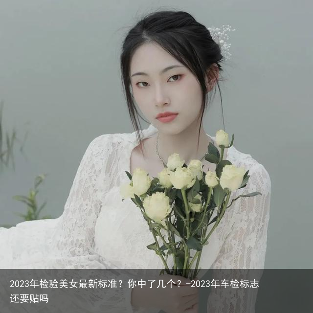 2023年检验美女最新标准？你中了几个？-2023年车检标志还要贴吗