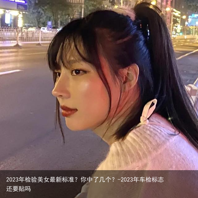 2023年检验美女最新标准？你中了几个？-2023年车检标志还要贴吗