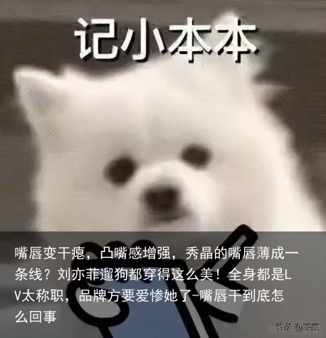 嘴唇变干瘪，凸嘴感增强，秀晶的嘴唇薄成一条线？刘亦菲遛狗都穿得这么美！全身都是LV太称职，品牌方要爱惨她了-嘴唇干到底怎么回事