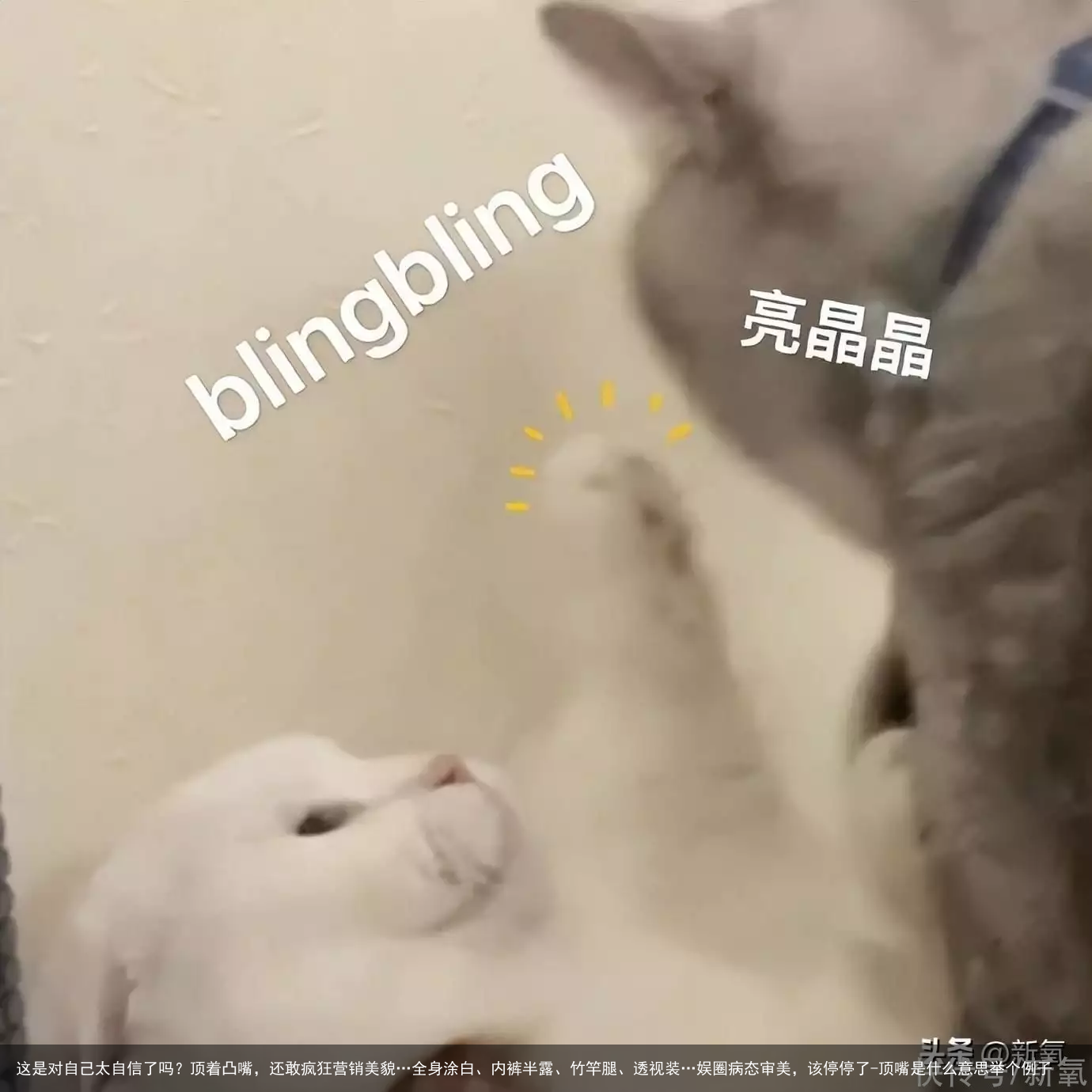 这是对自己太自信了吗？顶着凸嘴，还敢疯狂营销美貌…全身涂白、内裤半露、竹竿腿、透视装…娱圈病态审美，该停停了-顶嘴是什么意思举个例子