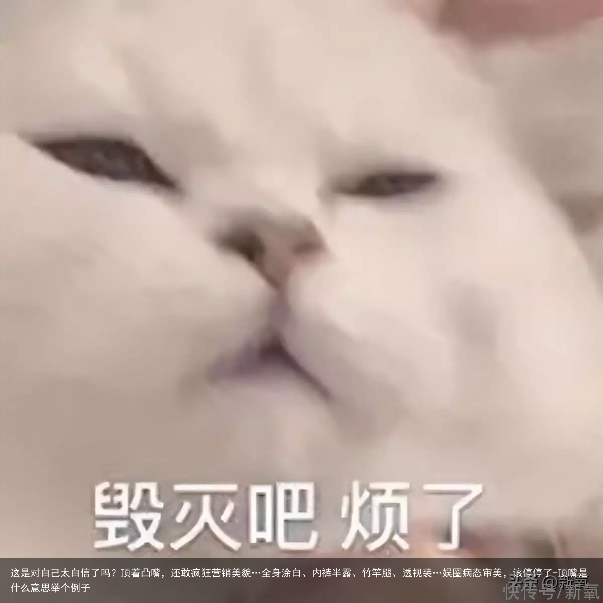 这是对自己太自信了吗？顶着凸嘴，还敢疯狂营销美貌…全身涂白、内裤半露、竹竿腿、透视装…娱圈病态审美，该停停了-顶嘴是什么意思举个例子