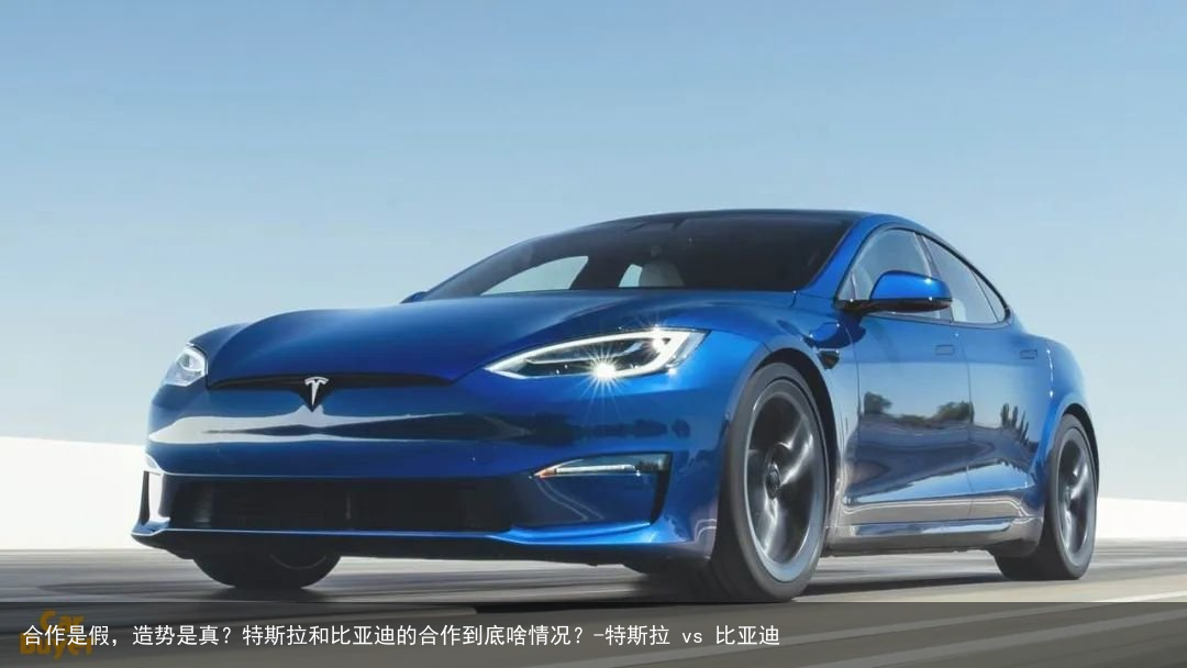 合作是假，造势是真？特斯拉和比亚迪的合作到底啥情况？-特斯拉 vs 比亚迪