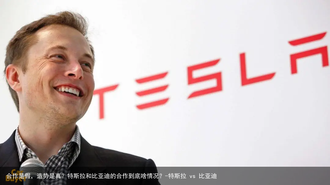 合作是假，造势是真？特斯拉和比亚迪的合作到底啥情况？-特斯拉 vs 比亚迪