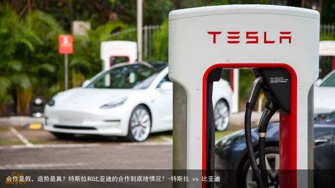 合作是假，造势是真？特斯拉和比亚迪的合作到底啥情况？-特斯拉 vs 比亚迪