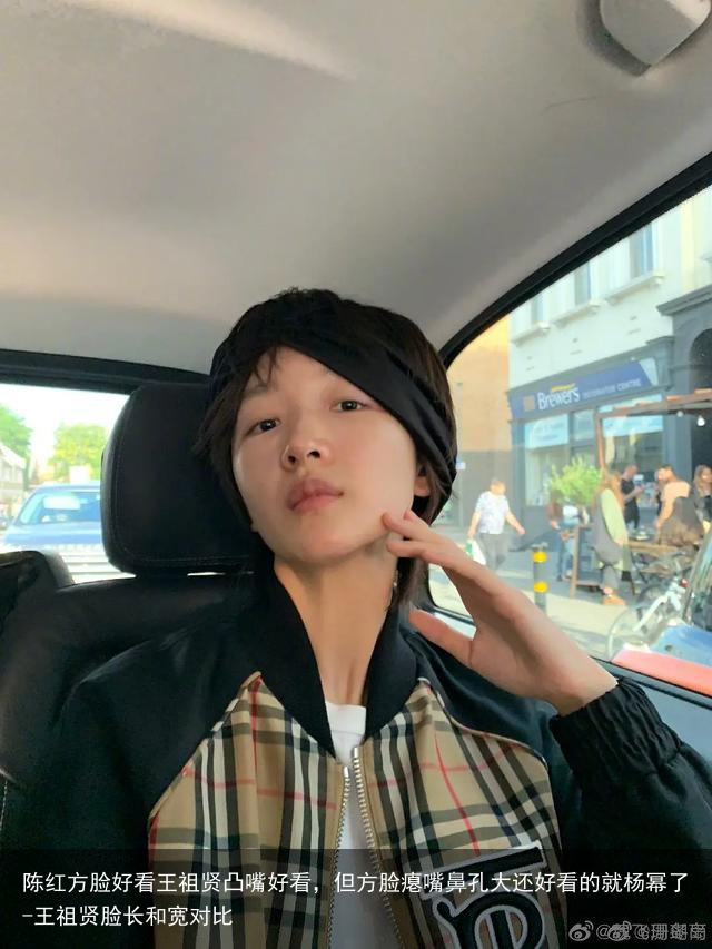 陈红方脸好看王祖贤凸嘴好看，但方脸瘪嘴鼻孔大还好看的就杨幂了-王祖贤脸长和宽对比
