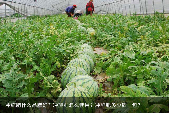 冲施肥什么品牌好？冲施肥怎么使用？冲施肥多少钱一包？