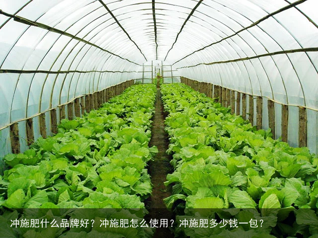 冲施肥什么品牌好？冲施肥怎么使用？冲施肥多少钱一包？