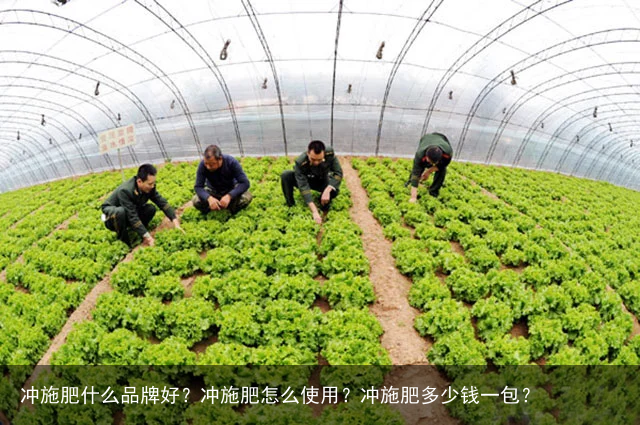 冲施肥什么品牌好？冲施肥怎么使用？冲施肥多少钱一包？