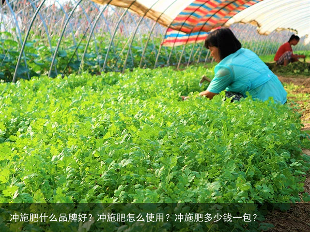 冲施肥什么品牌好？冲施肥怎么使用？冲施肥多少钱一包？