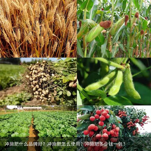 冲施肥什么品牌好？冲施肥怎么使用？冲施肥多少钱一包？