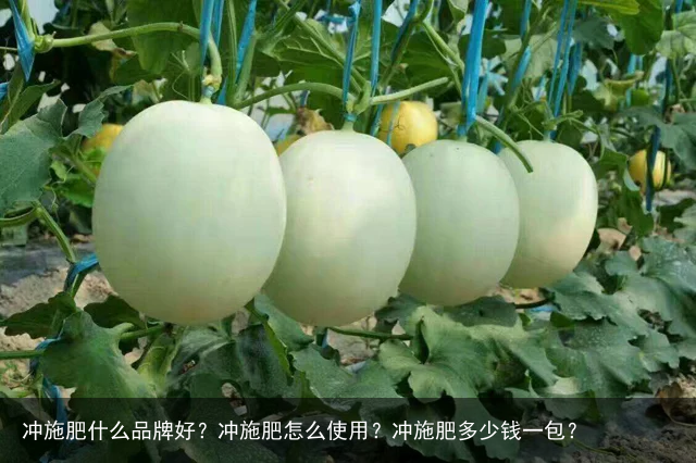 冲施肥什么品牌好？冲施肥怎么使用？冲施肥多少钱一包？