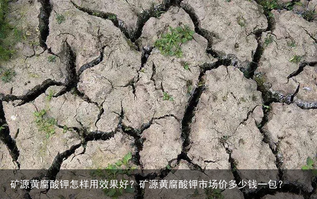 矿源黄腐酸钾怎样用效果好？矿源黄腐酸钾市场价多少钱一包？