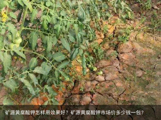 矿源黄腐酸钾怎样用效果好？矿源黄腐酸钾市场价多少钱一包？