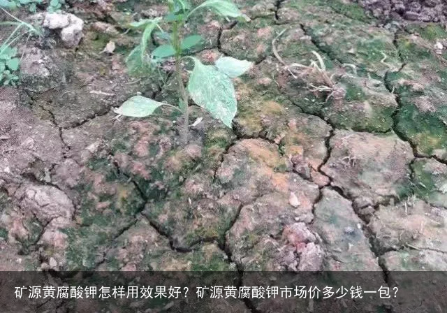 矿源黄腐酸钾怎样用效果好？矿源黄腐酸钾市场价多少钱一包？