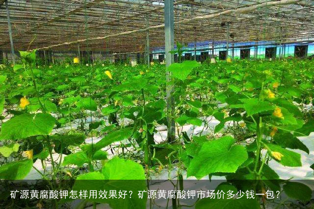 矿源黄腐酸钾怎样用效果好？矿源黄腐酸钾市场价多少钱一包？