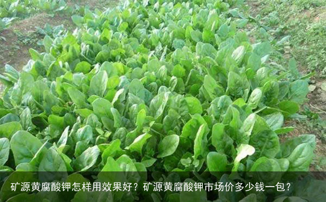 矿源黄腐酸钾怎样用效果好？矿源黄腐酸钾市场价多少钱一包？