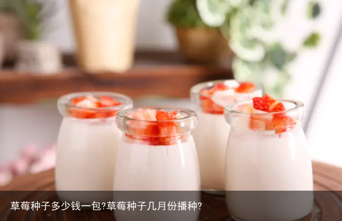 草莓种子多少钱一包?草莓种子几月份播种?