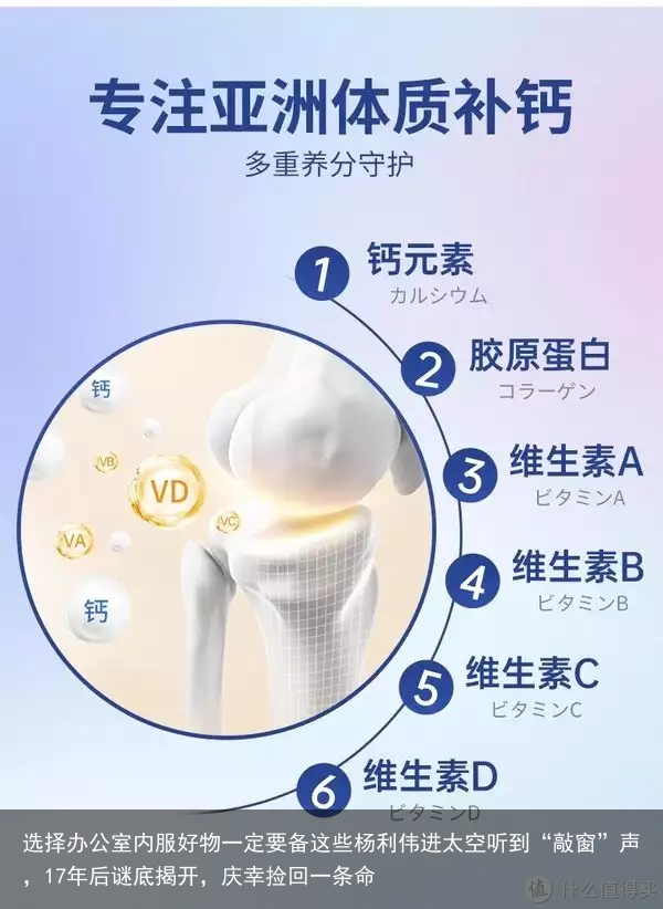 选择办公室内服好物一定要备这些