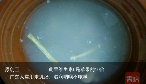 此果维生素C是苹果的10倍，广东人常用来煲汤，滋润咽喉不咳嗽