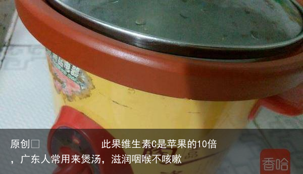 此果维生素C是苹果的10倍，广东人常用来煲汤，滋润咽喉不咳嗽