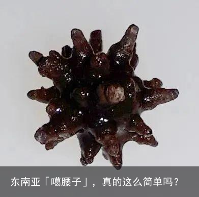 东南亚「噶腰子」，真的这么简单吗？