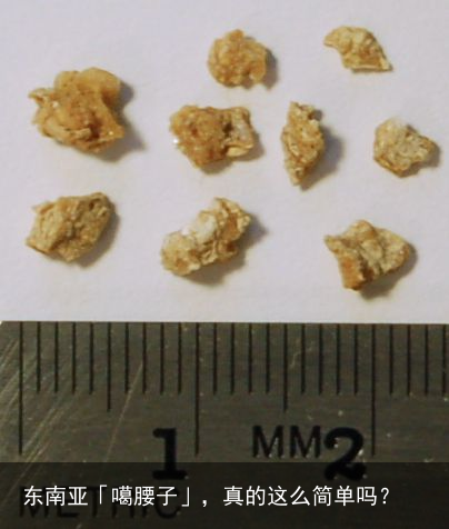 东南亚「噶腰子」，真的这么简单吗？