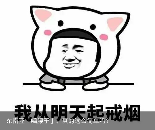 东南亚「噶腰子」，真的这么简单吗？