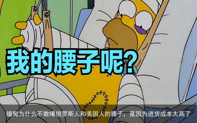 缅甸为什么不敢噶俄罗斯人和美国人的腰子，是因为进货成本太高了