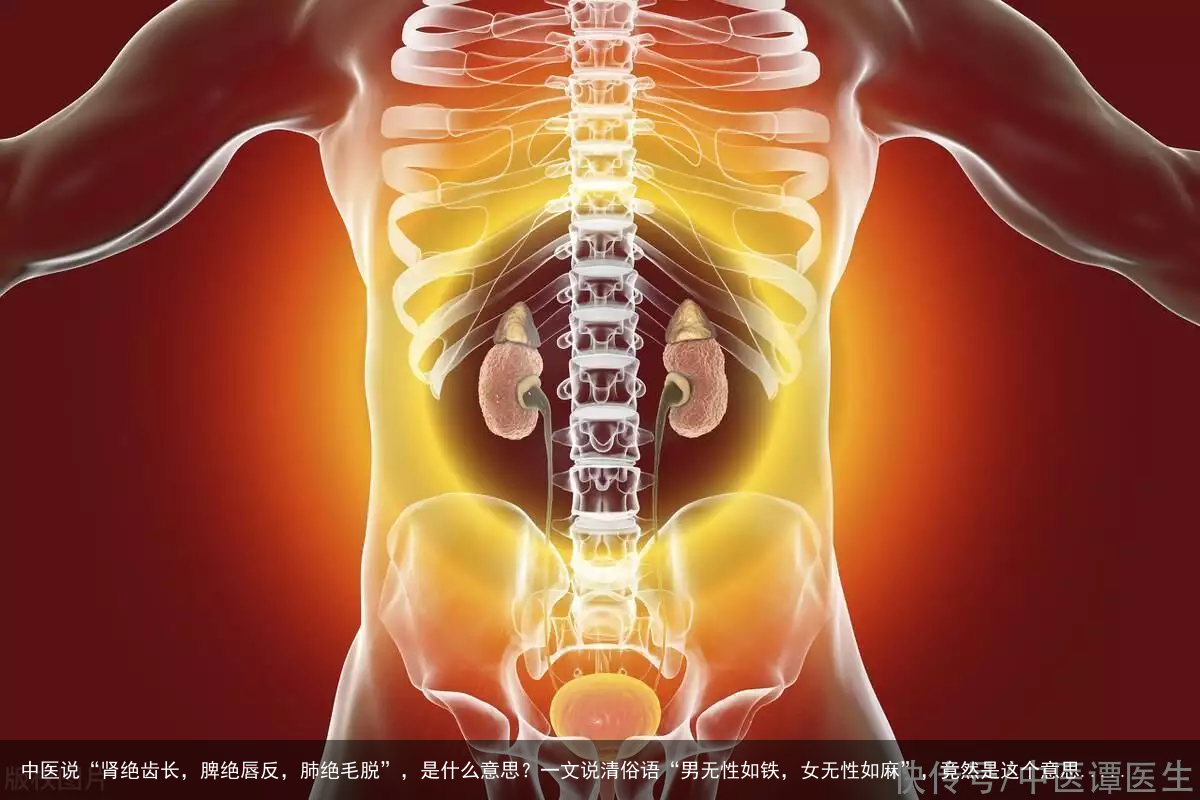 中医说“肾绝齿长，脾绝唇反，肺绝毛脱”，是什么意思？一文说清俗语“男无性如铁，女无性如麻”，竟然是这个意思.....