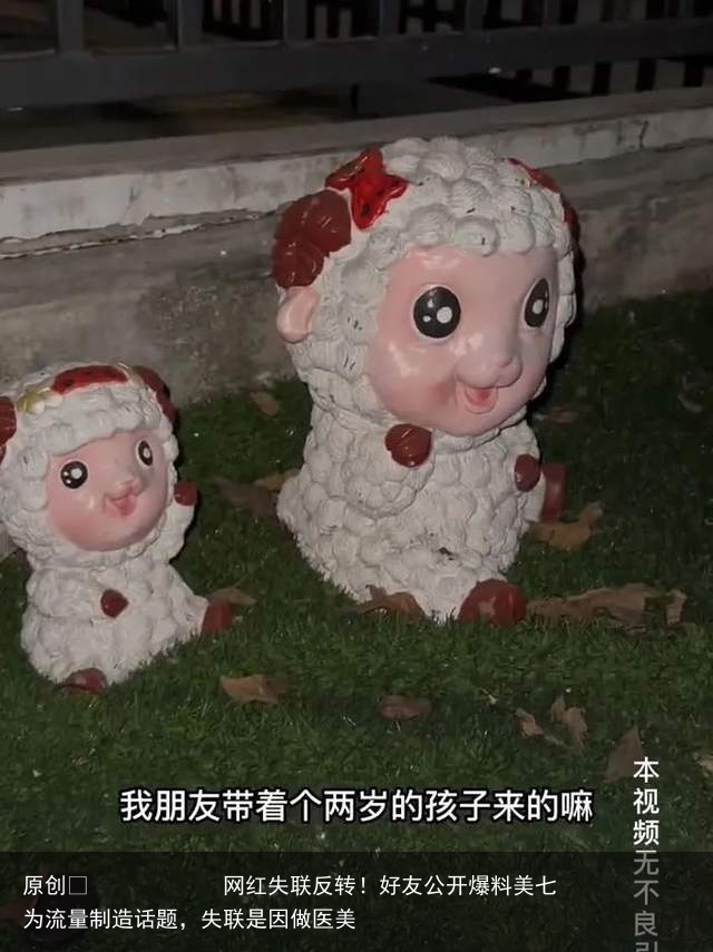网红失联反转！好友公开爆料美七为流量制造话题，失联是因做医美