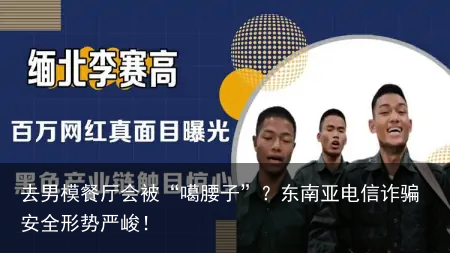 去男模餐厅会被“噶腰子”？东南亚电信诈骗安全形势严峻！