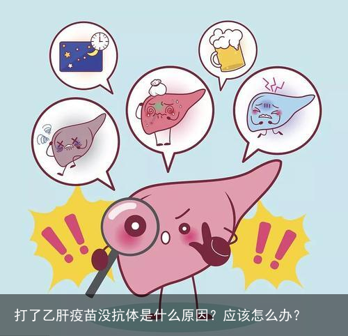 打了乙肝疫苗没抗体是什么原因？应该怎么办？