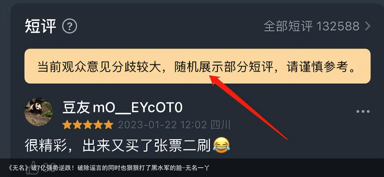 《无名》破7亿强势逆跌！破除谣言的同时也狠狠打了黑水军的脸-无名一丫
