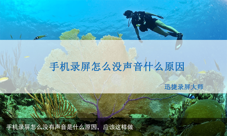 手机录屏怎么没有声音是什么原因，应该这样做
