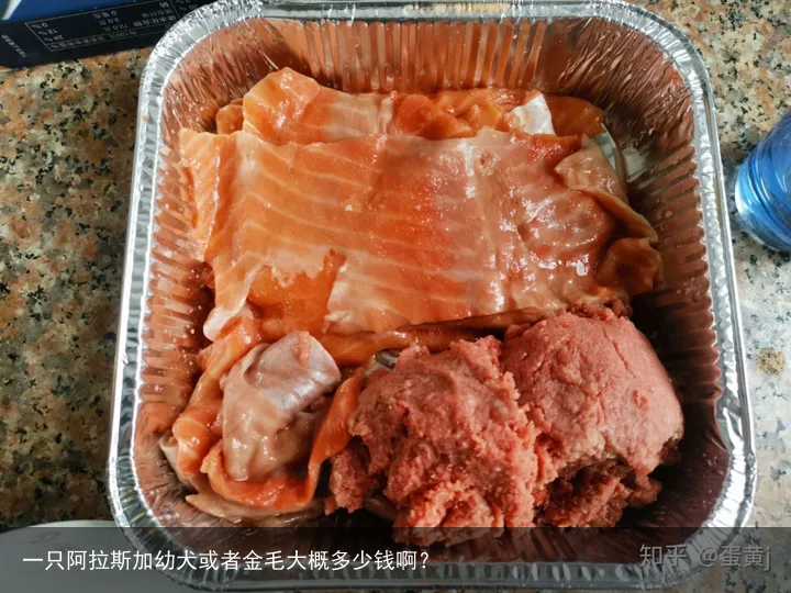 一只阿拉斯加幼犬或者金毛大概多少钱啊？