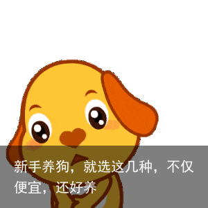 新手养狗，就选这几种，不仅便宜，还好养