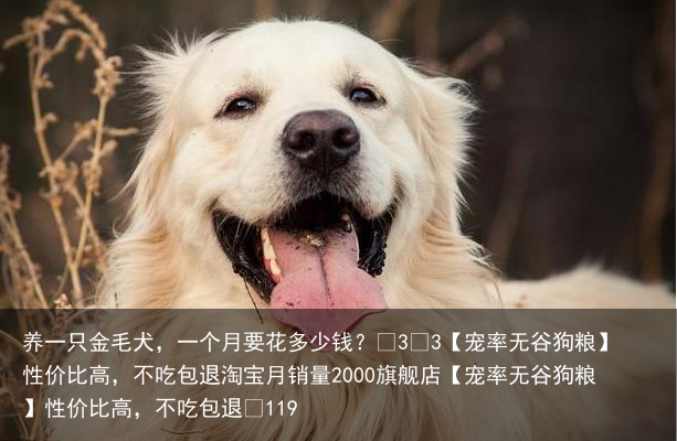 养一只金毛犬，一个月要花多少钱？