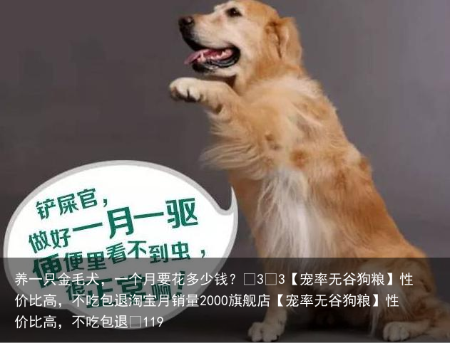 养一只金毛犬，一个月要花多少钱？