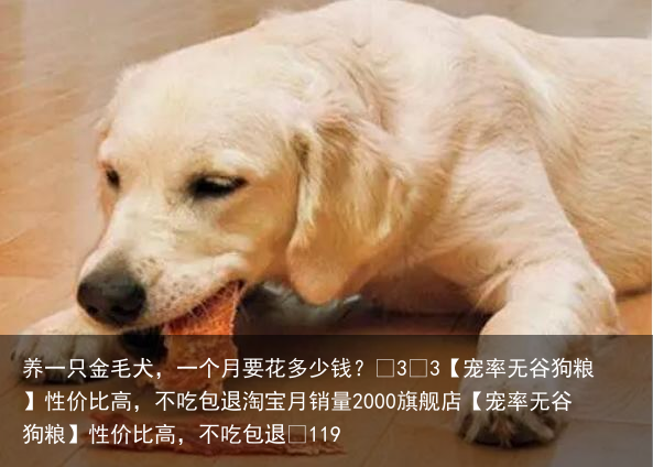养一只金毛犬，一个月要花多少钱？