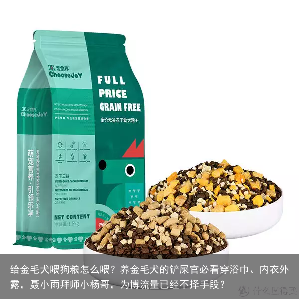 给金毛犬喂狗粮怎么喂？养金毛犬的铲屎官必看