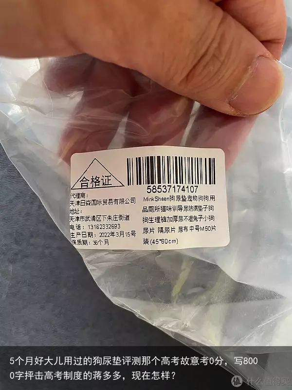 5个月好大儿用过的狗尿垫评测那个高考故意考0分，写8000字抨击高考制度的蒋多多，现在怎样？