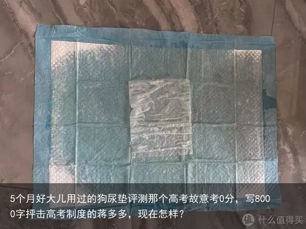 5个月好大儿用过的狗尿垫评测那个高考故意考0分，写8000字抨击高考制度的蒋多多，现在怎样？